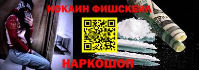 индика Кингисепп
