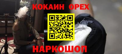индика Кингисепп