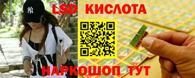 индика Кингисепп