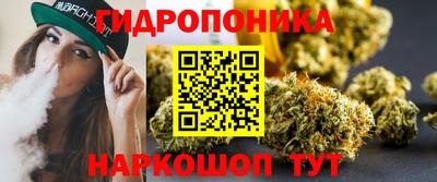 индика Кингисепп