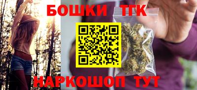 индика Кингисепп